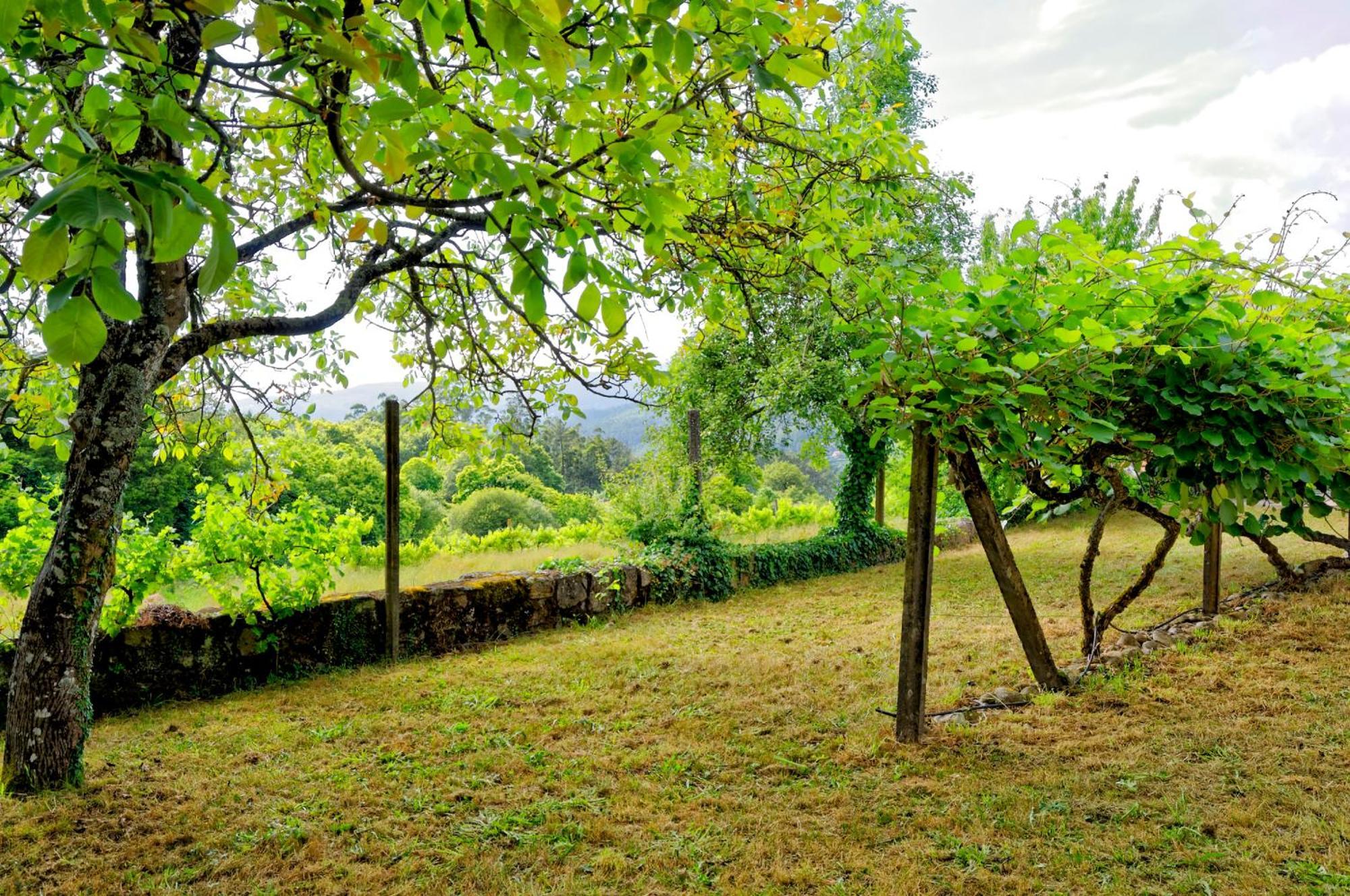 Zen Vouga Villa Ribeiradio Kültér fotó