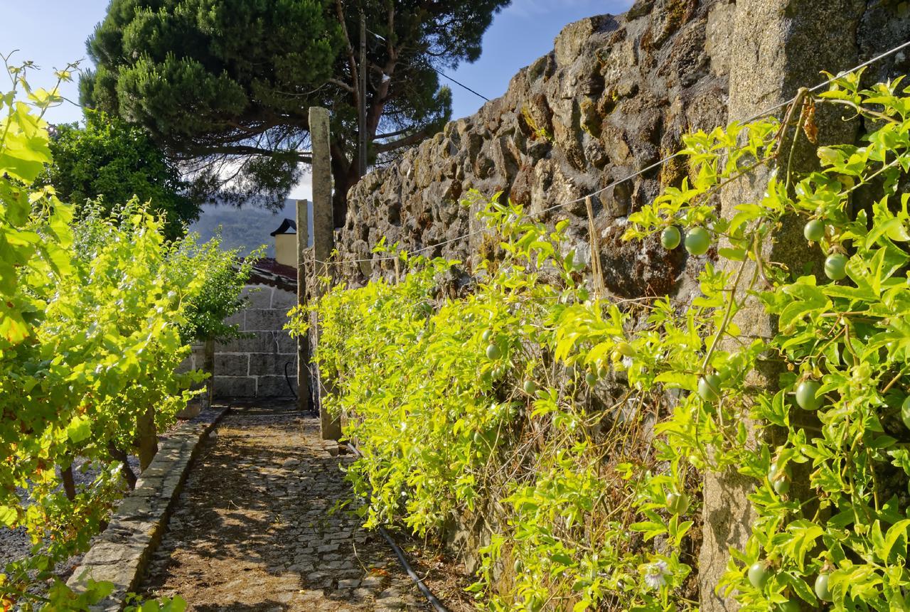 Zen Vouga Villa Ribeiradio Kültér fotó